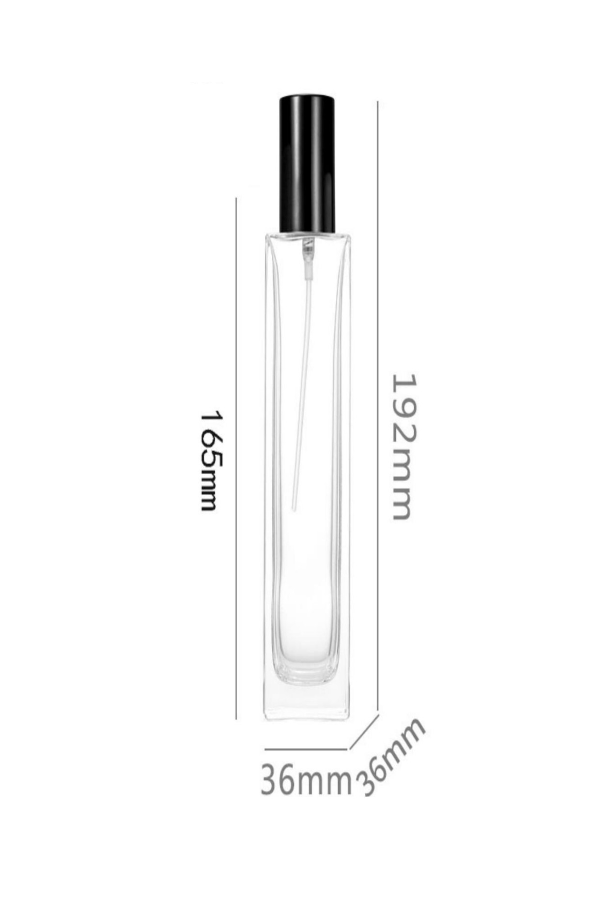 WS-H4-100ML